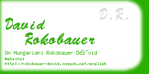 david rokobauer business card